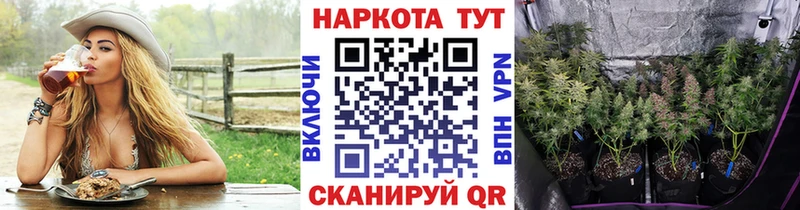 Продажа наркотиков Могоча Alpha PVP  Метадон  Канабис 