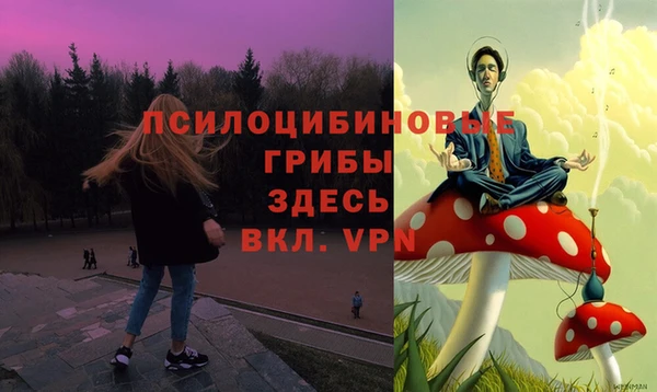 прущие крисы Алзамай