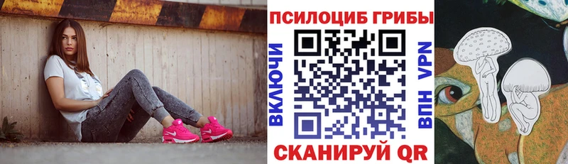 Псилоцибиновые грибы Psilocybine cubensis  Могоча 